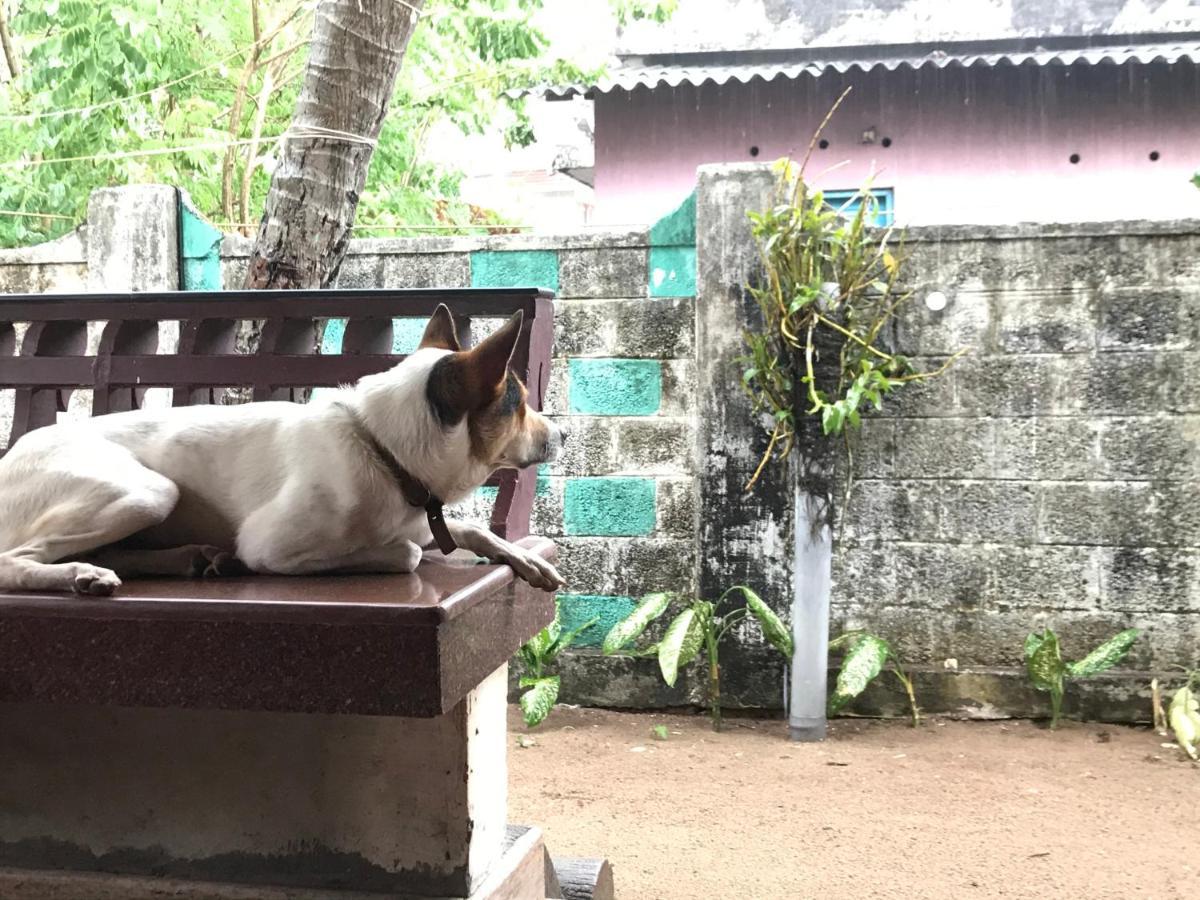 Beachaholic Homestay Alappuzha Luaran gambar