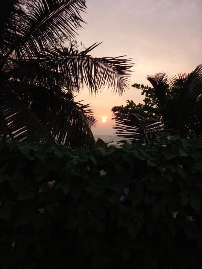 Beachaholic Homestay Alappuzha Luaran gambar