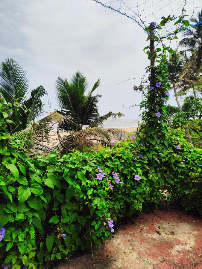 Beachaholic Homestay Alappuzha Luaran gambar