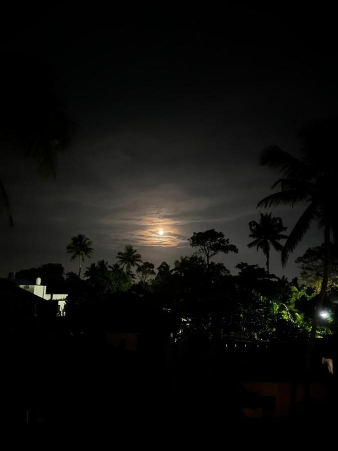Beachaholic Homestay Alappuzha Luaran gambar