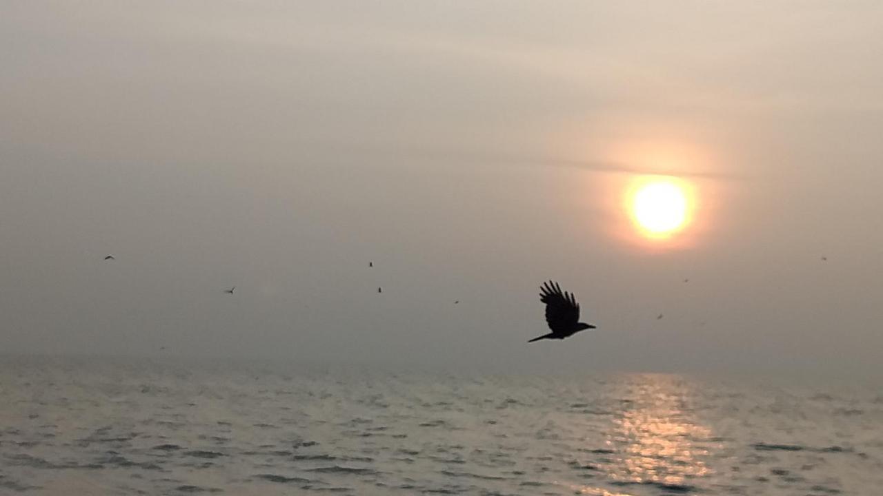 Beachaholic Homestay Alappuzha Luaran gambar